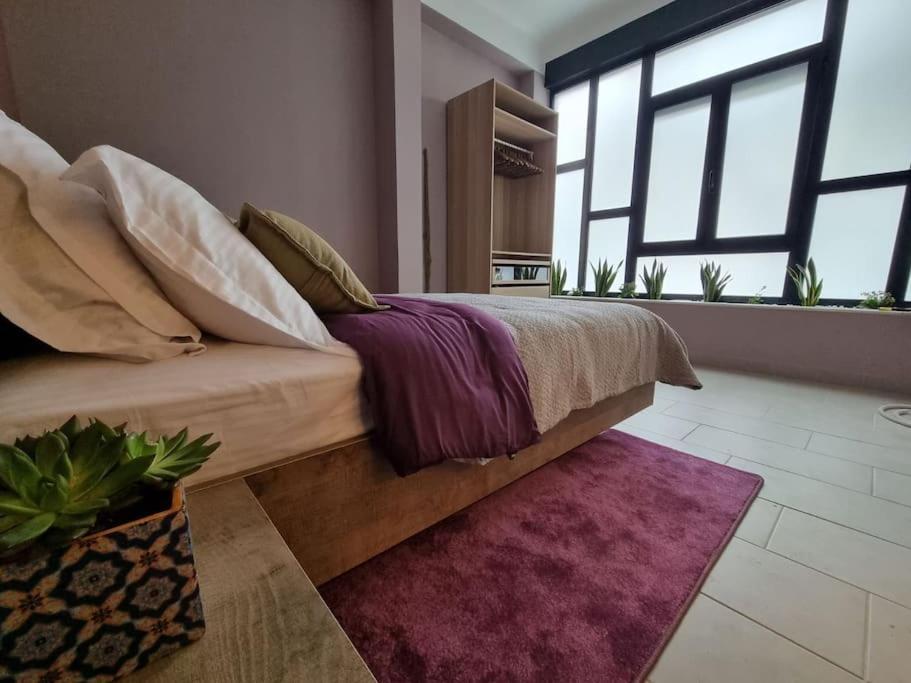 Ellis Appartement